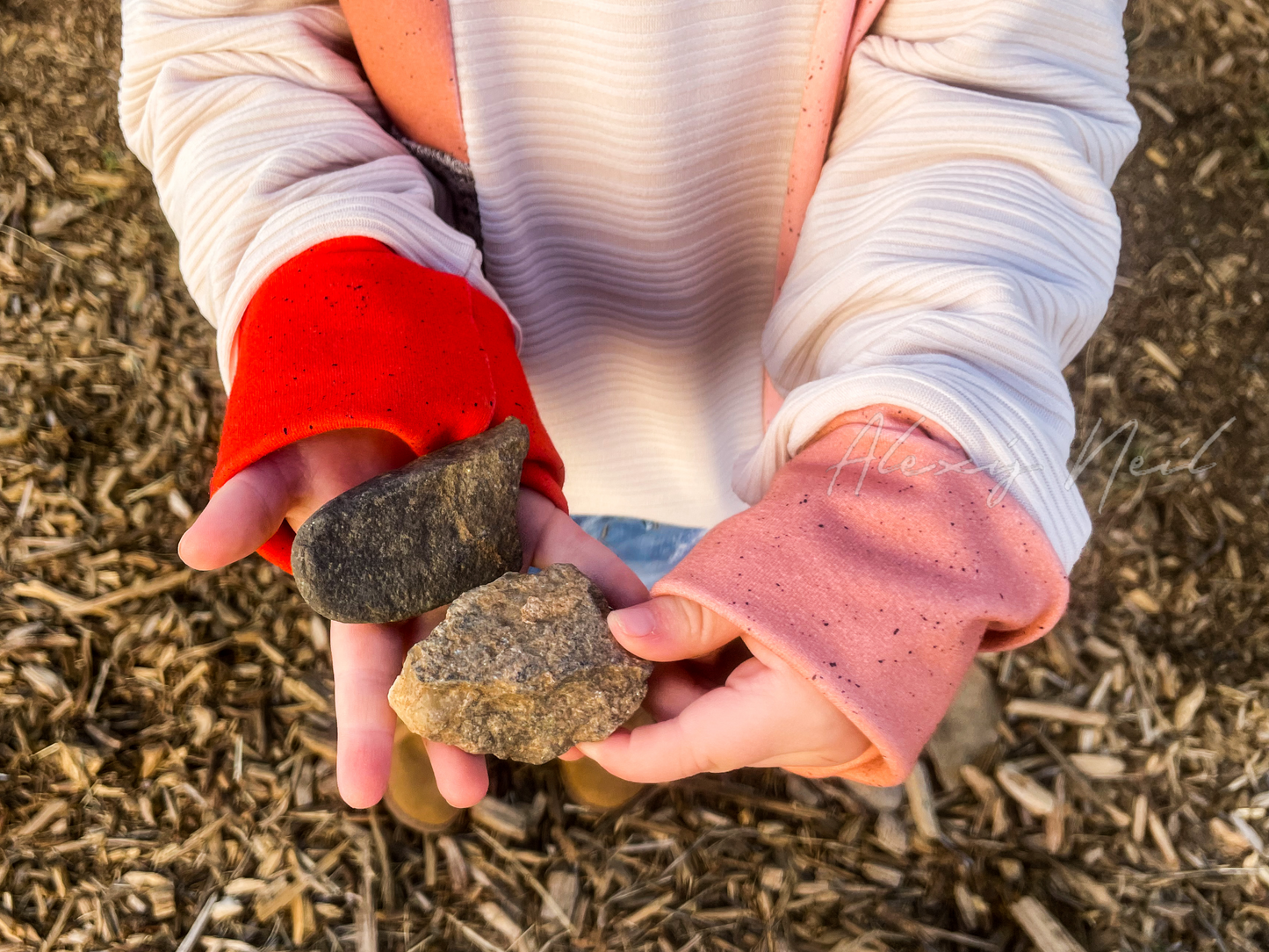 Cotton Lycra - Gritty Zombies and Solids - Retail Fabric