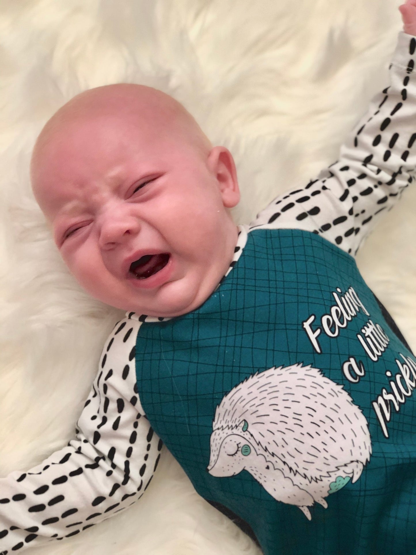 Cotton Lycra Panels - Round OO - Kid & Adult size - Skulls & Mushroom, Magic Forest, Wilderness & Hedgehog panels Retail Fabric