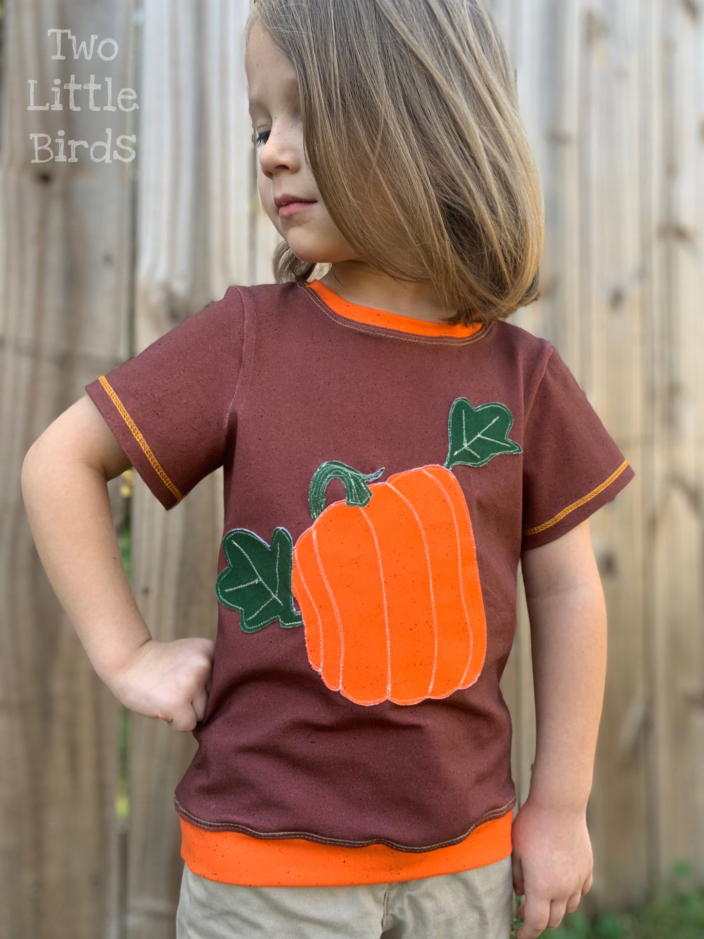 Cotton Lycra - Gritty Zombies and Solids - Retail Fabric