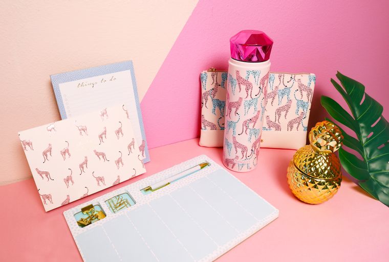 Pink Leopard Sticky Note Set Gift