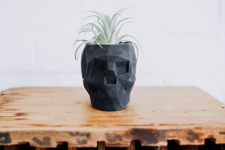 Light Gray - Concrete Skull Planter - Retail Swag