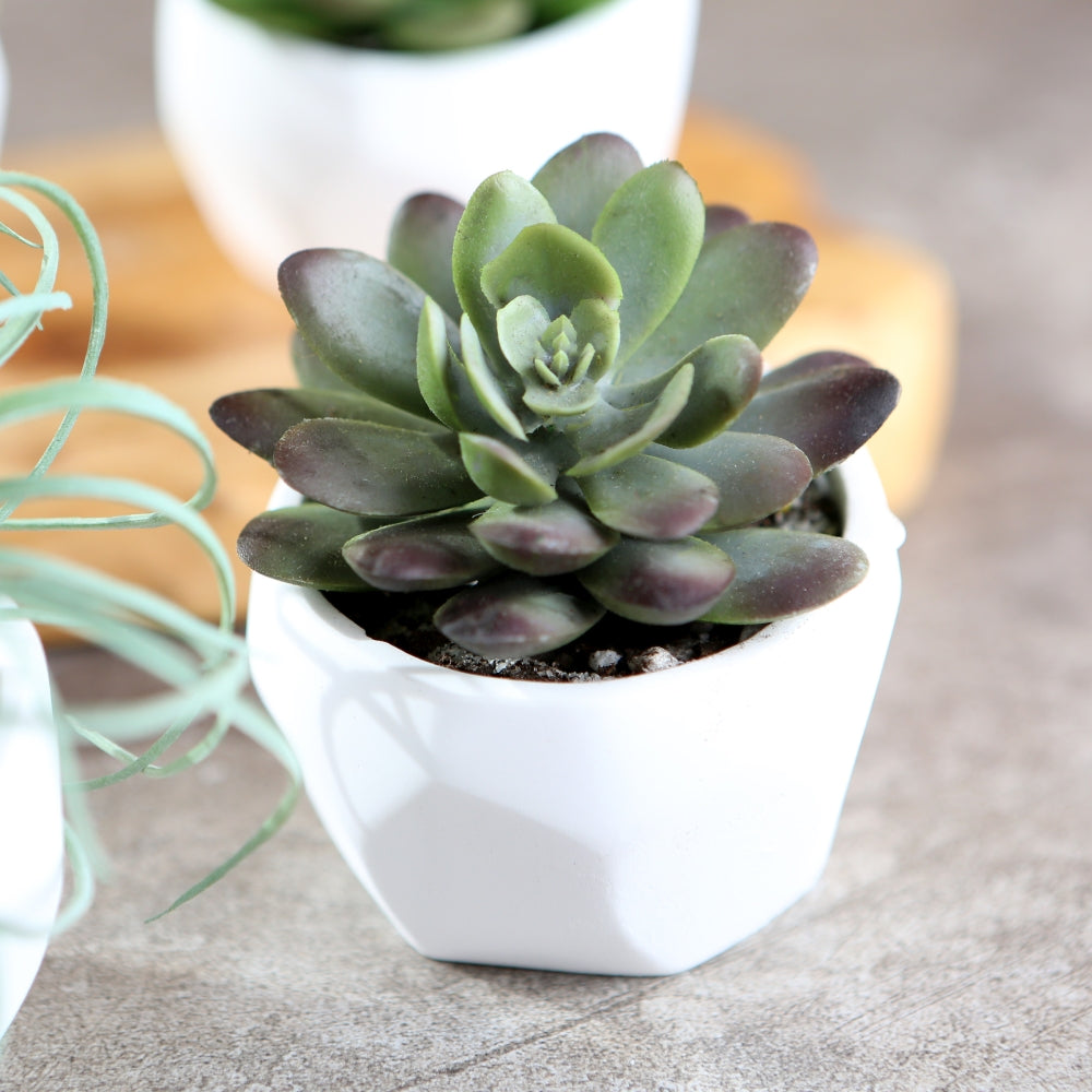 Geometric Ceramic Planter - 1 planter solid white - Gift