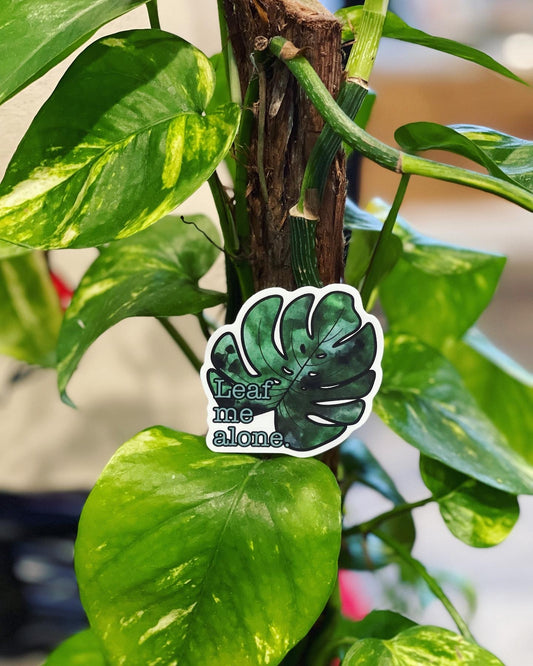 Approximately 2.5 inches Leaf Me Alone - plant monstera vinyl sticker - retail swag