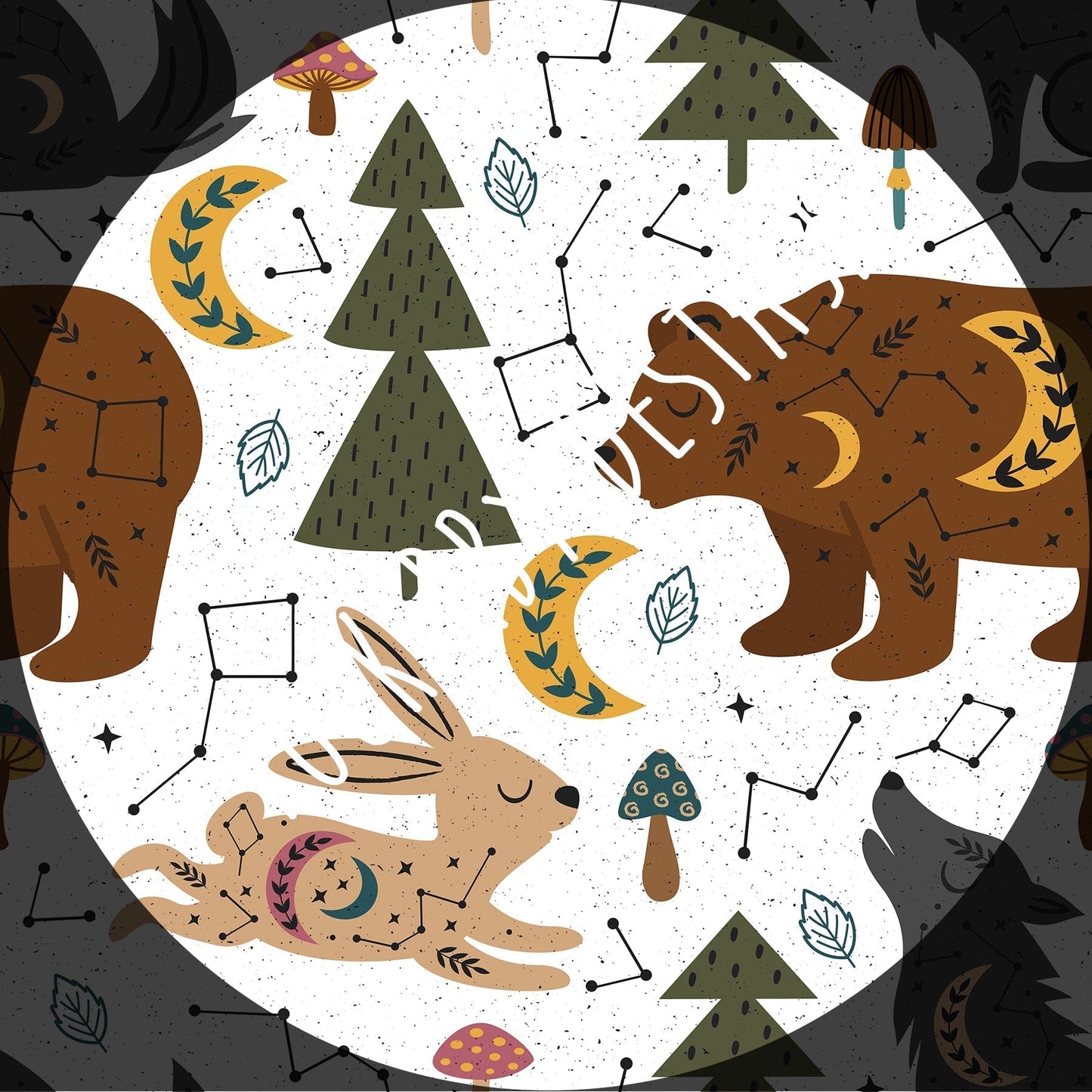 Minky - Round OO - Skulls & Shrooms, Magical Forest, New Wilderness & Hedgies - Fabric Retail