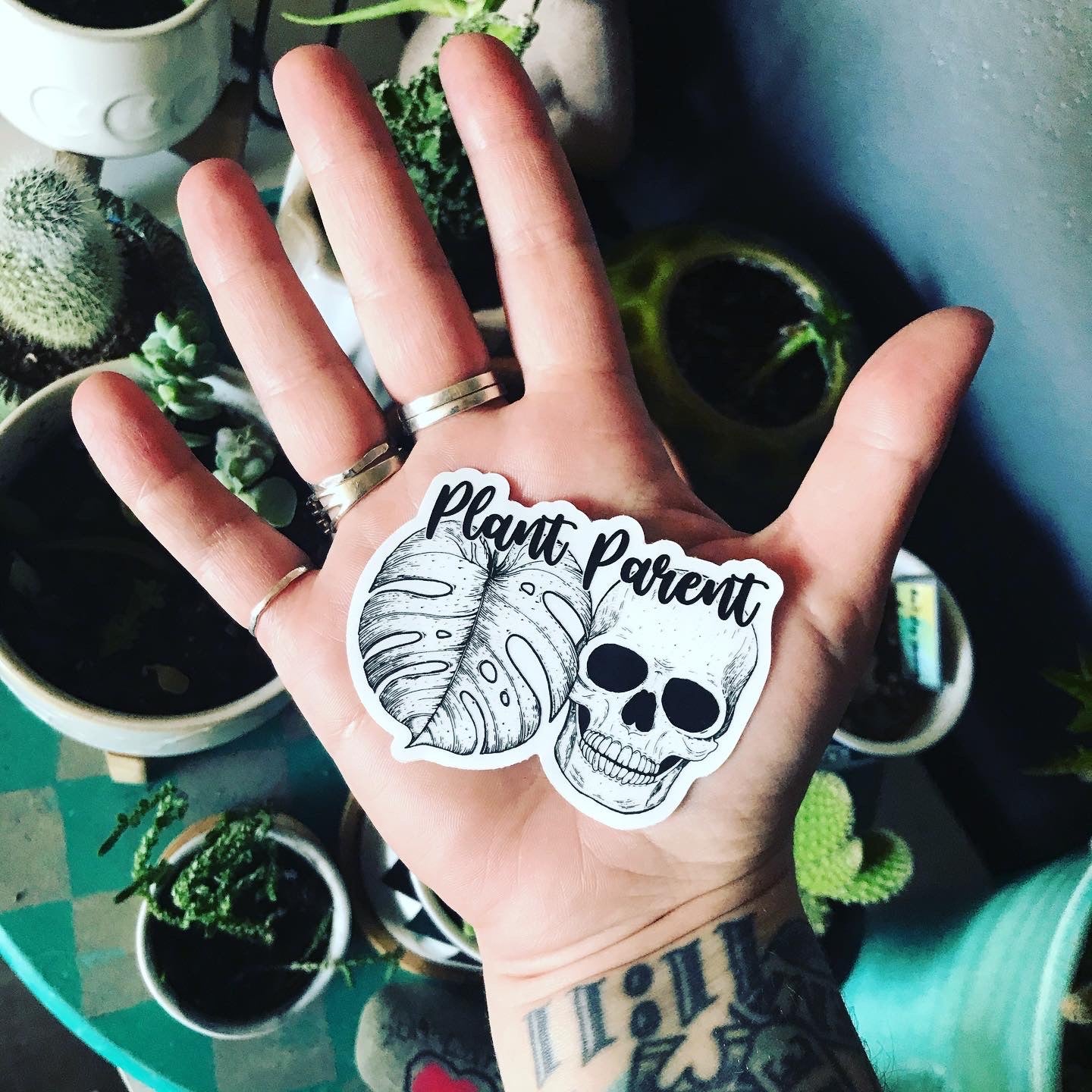 2.5x3 plant parent skull monstera clear vinyl sticker retail swag