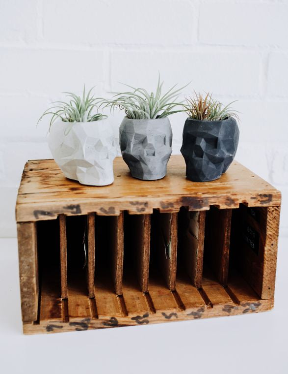 Light Concrete Skull Planter - Retail Swag