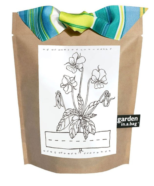 Kids Garden in a Bag | Viola by Potting Shed Creations gift