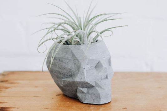 Light Gray - Concrete Skull Planter - Retail Swag