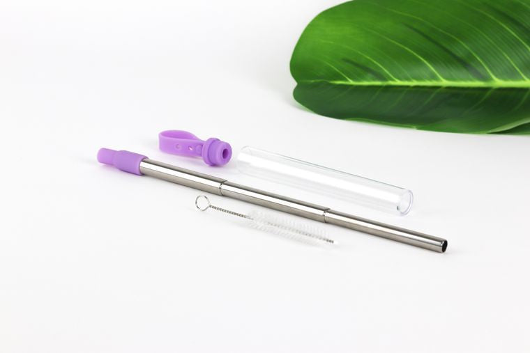 Krumbs Kitchen Expandable Reusable Steel Straw & Cleaning Brush RBD swag tumbler